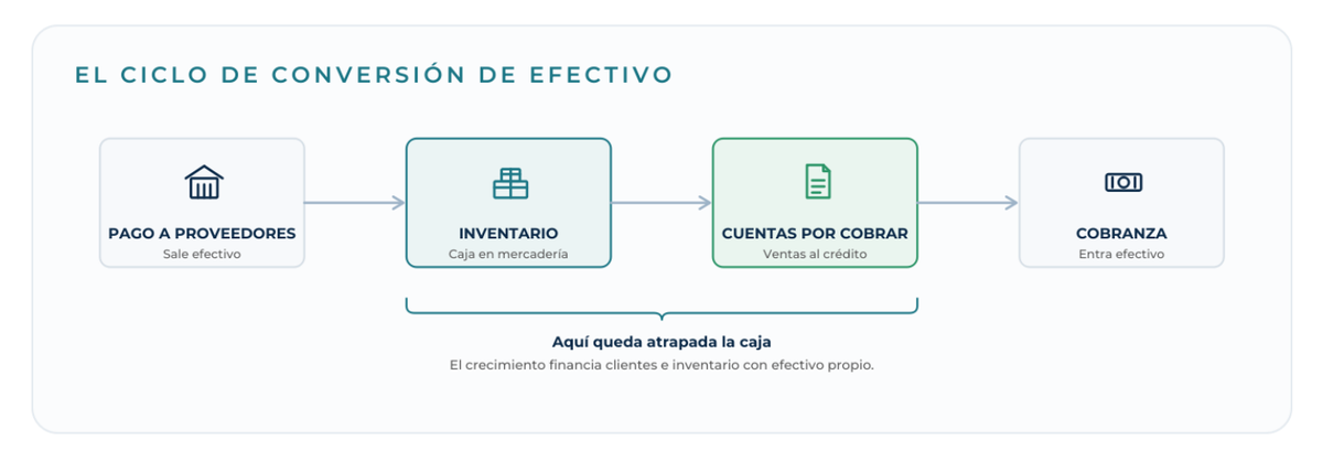 El ciclo de conversión de efectivo: pago a proveedores, inventario, cuentas por cobrar y cobranza. La caja queda atrapada entre el inventario y las cuentas por cobrar.